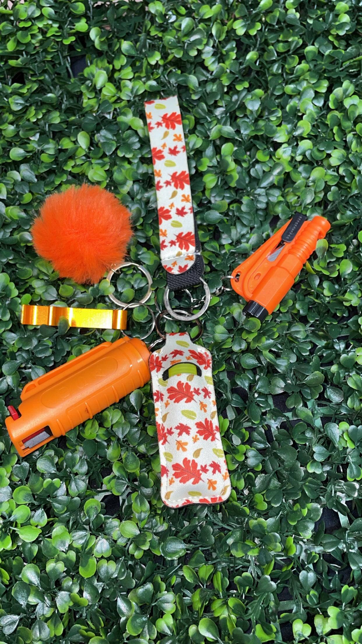 Seasonal Protective Keychain Sets