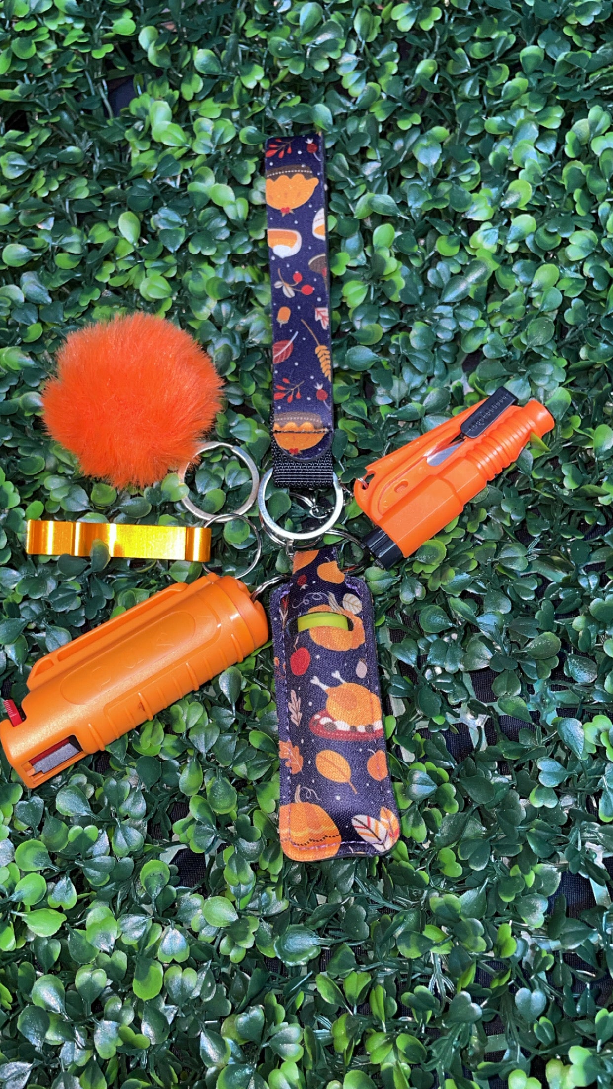 Seasonal Protective Keychain Sets