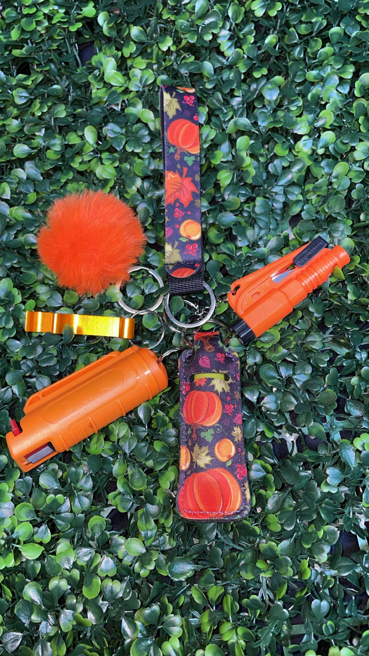 Seasonal Protective Keychain Sets