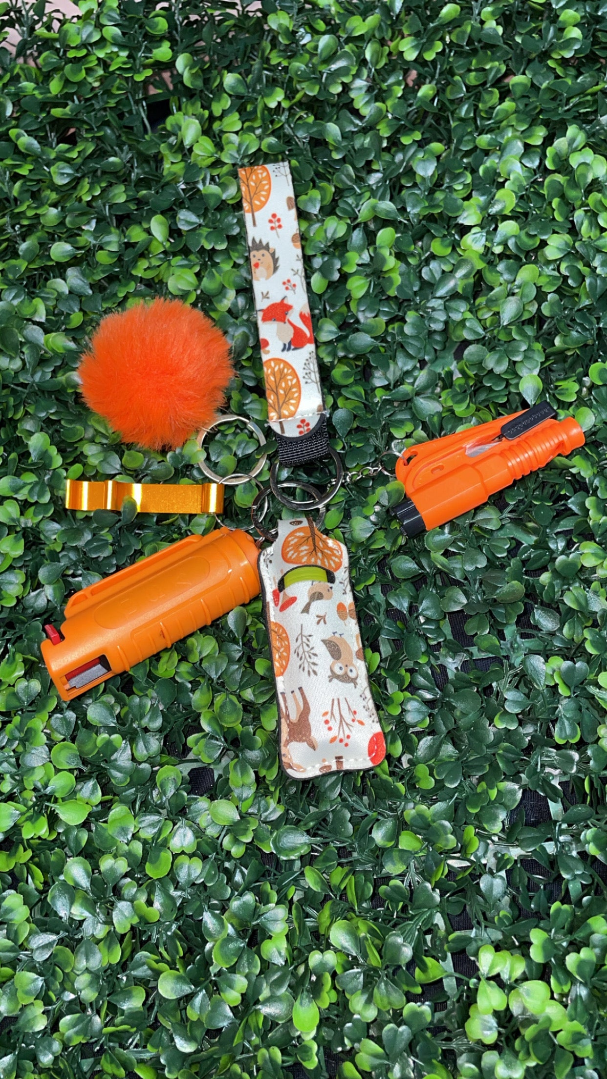 Seasonal Protective Keychain Sets