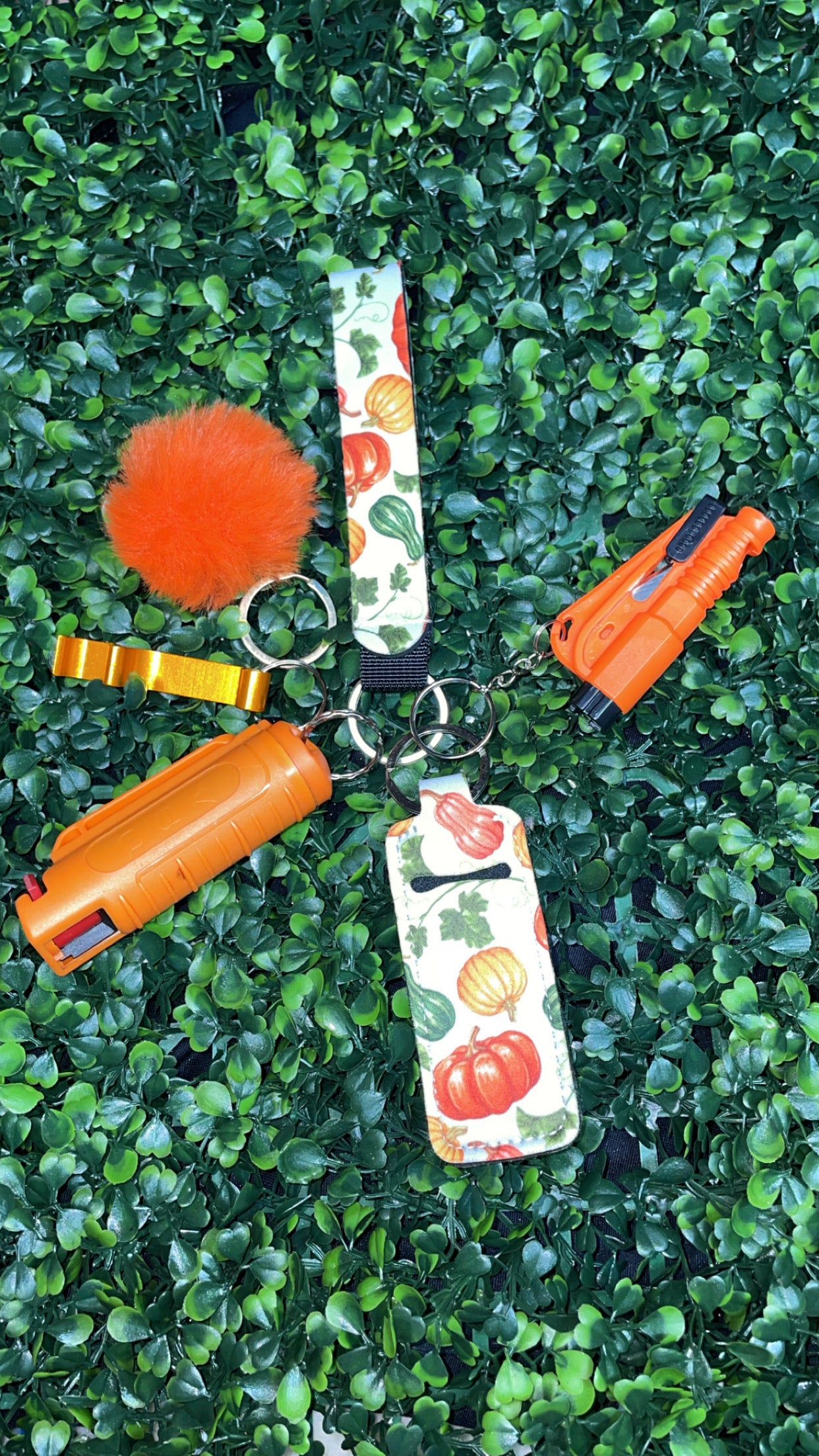 Seasonal Protective Keychain Sets