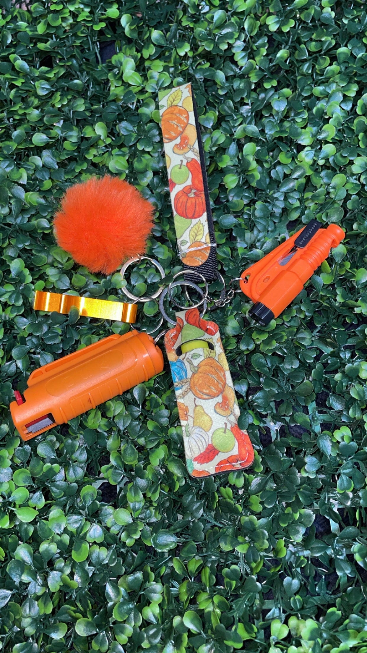 Seasonal Protective Keychain Sets
